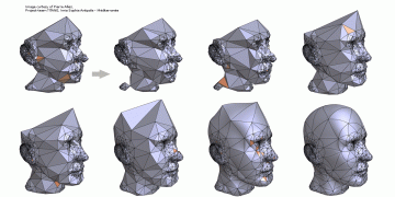 GRAPES - Learning, processing and optimising shapes