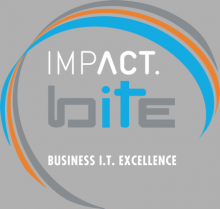 Business I.T. Excellence logo