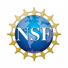 NSF logo