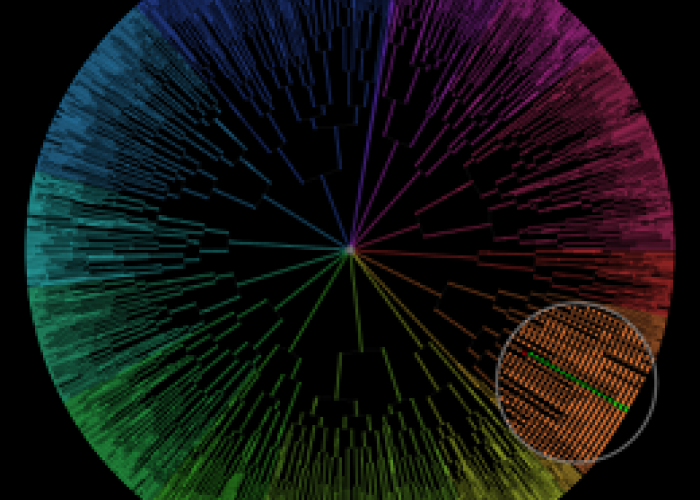 BaSCA: Bacterial Single-Cell Analytics Project