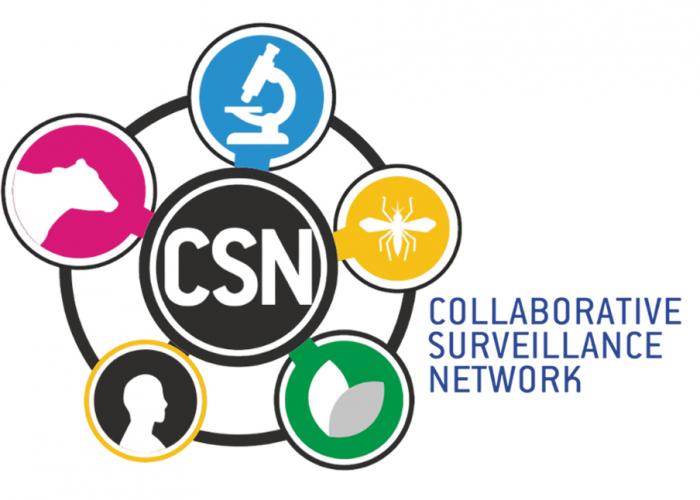 csn logo
